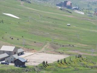  the equestrian center in summer 